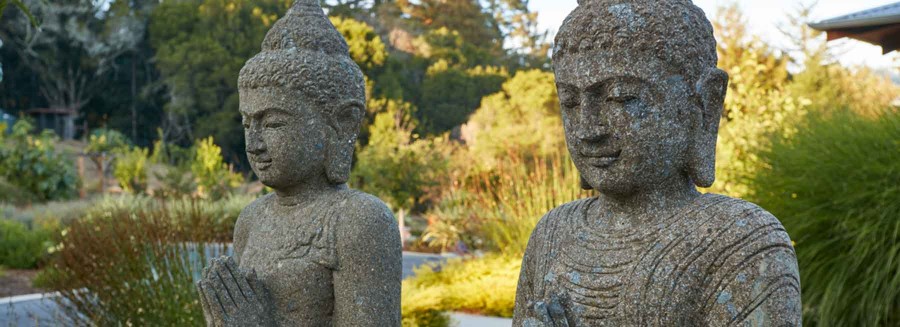 Buddha greeters in Asian/Modern landscape